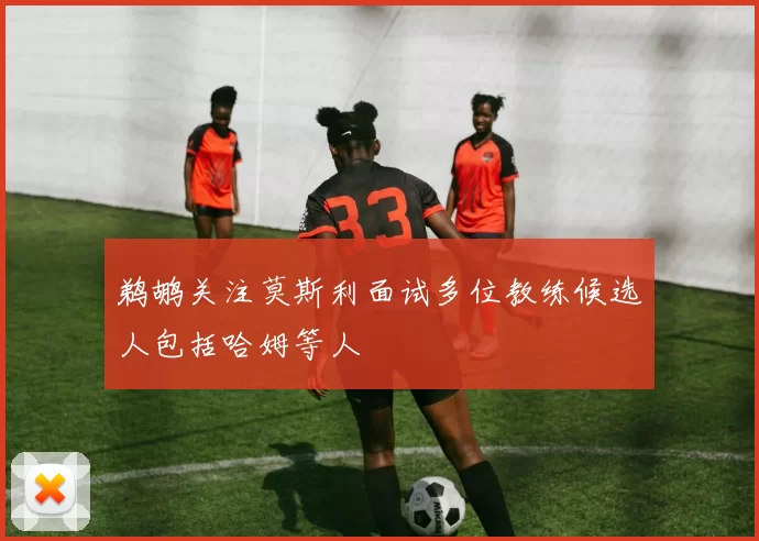鹈鹕关注莫斯利面试多位教练候选人包括哈姆等人